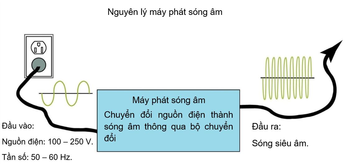 Nguyên lý phát sóng siêu âm